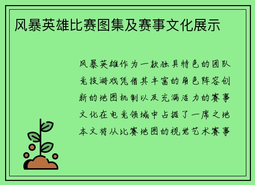 风暴英雄比赛图集及赛事文化展示